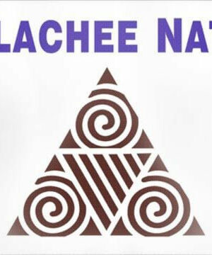 Apalachee Nation Native American Flag