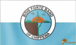 Bois Forte Chippewa Native American Flag