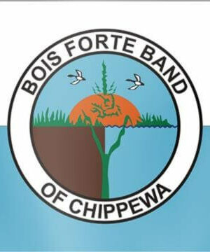 Bois Forte Chippewa Native American Flag