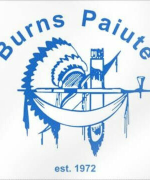 Burns Paiute Native American Flag