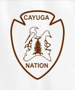 Native American Cayuga Nation Flag