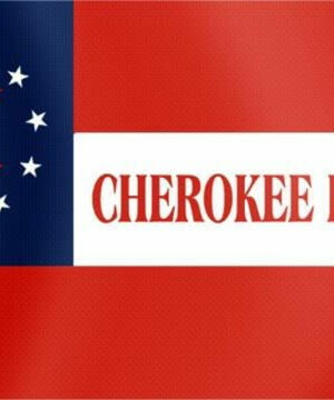 Native American Cherokee Braves Flag